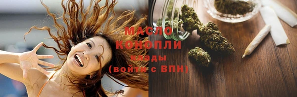 альфа пвп Гусев