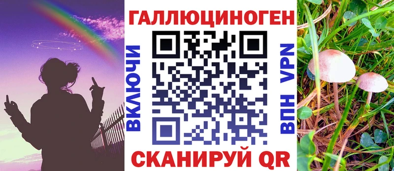 Купить где  Кудымкар  Псилоцибиновые грибы Psilocybe 